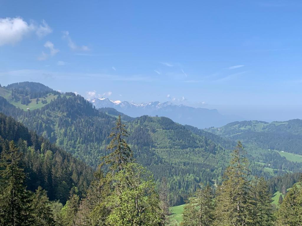 Boutique Hotel Corbetta - Spa 60M2 - La Montagne A 5 Minutes De L'Autoroute A12 Aux Paccots Sur Montreux - Nouveau Loft Familial - Profitez Du Lac Leman Et Des Montagnes En Meme Temps Les Paccots Exteriér fotografie